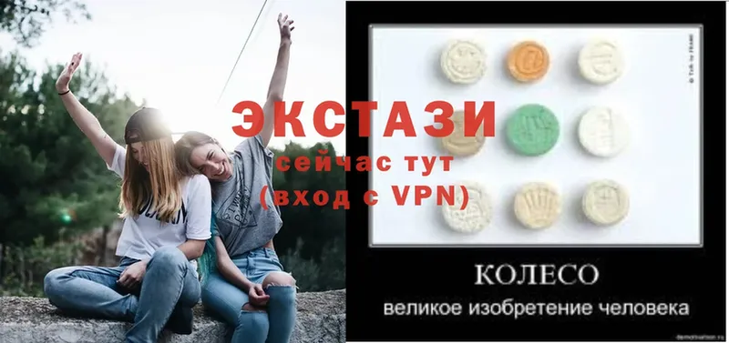 как найти   Каменногорск  Ecstasy VHQ 