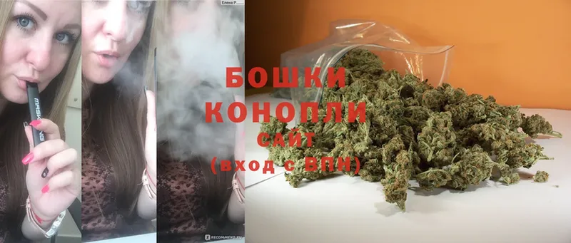 Шишки марихуана OG Kush  цена   Каменногорск 